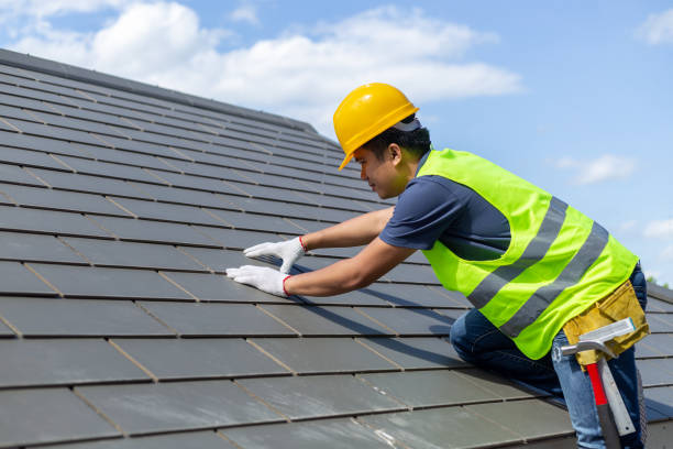 Best Commercial Roofing Services  in Waterloo, IL