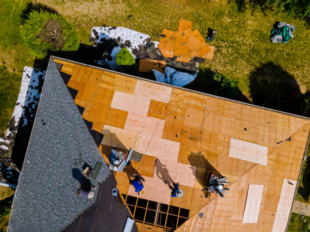 Quick and Trustworthy Emergency Roof Repair Services in Waterloo, IL