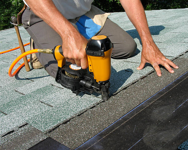 Best Storm Damage Roof Repair  in Waterloo, IL