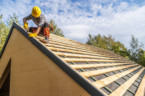 Best Flat Roof Repair Services  in Waterloo, IL