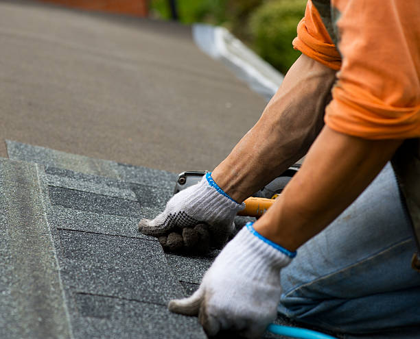 Best Residential Roofing Contractor  in Waterloo, IL